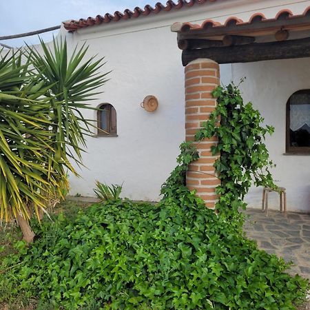 Quinta Da Belavista Villa Reguengos de Monsaraz Kültér fotó