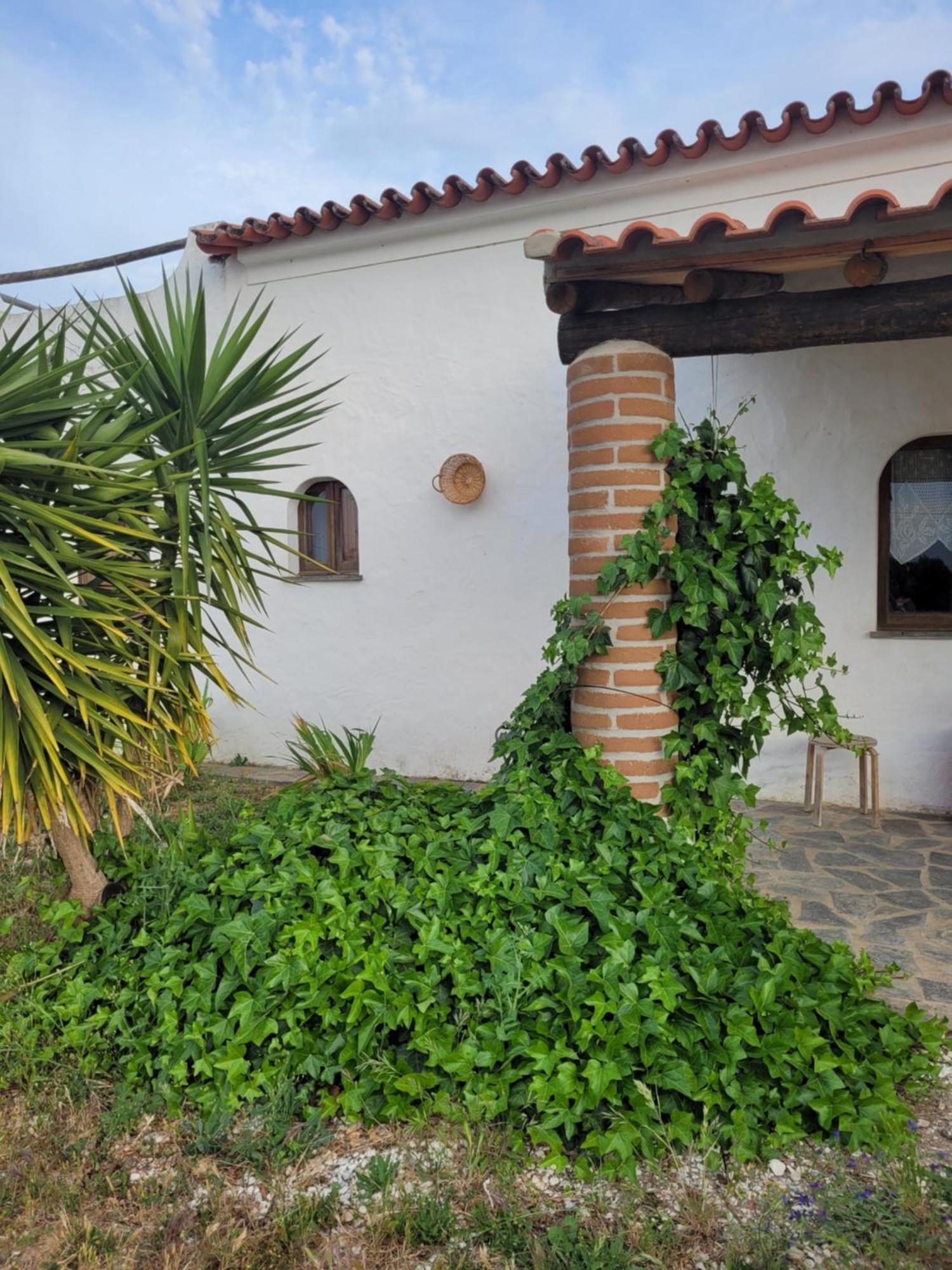 Quinta Da Belavista Villa Reguengos de Monsaraz Kültér fotó